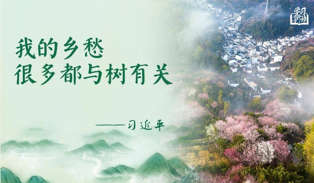 學習新語｜“義務植樹是全民行動”