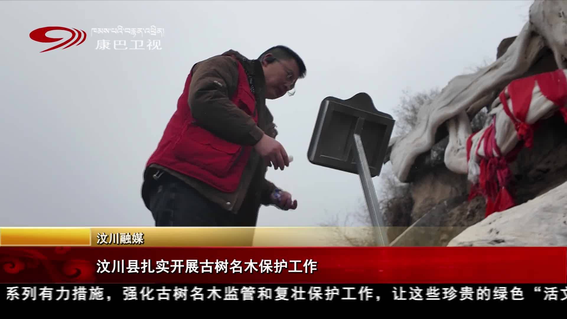 ཝུན་ཁྲོན་རྫོང་གིས་གནའ་སྡོང་དང་ཤིང་གྲགས་ཅན་སྲུང་སྐྱོང་ལས་ཀ་བརྟན་པོར་སྤེལ།