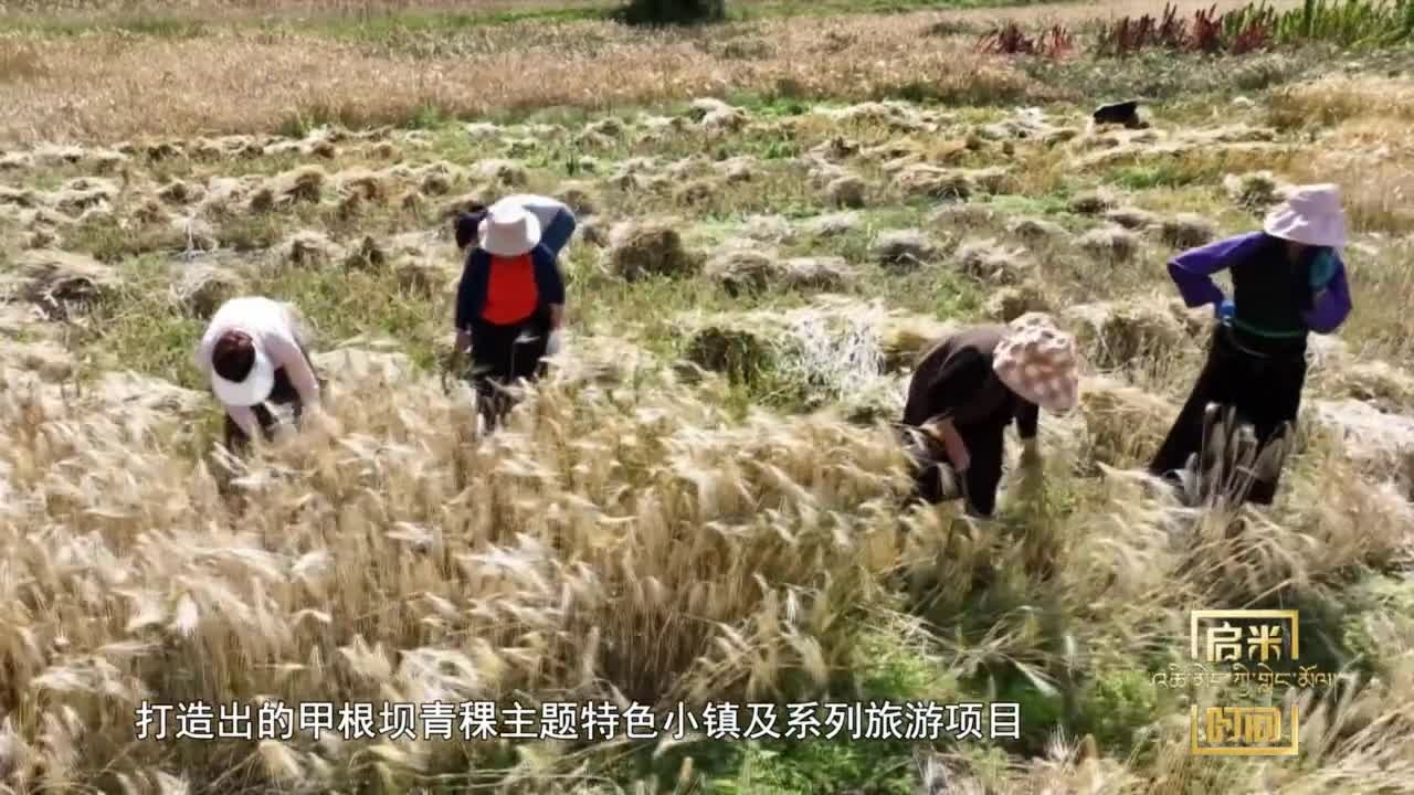 大保護 大開發 高質量發展 （二）（24.10.14）