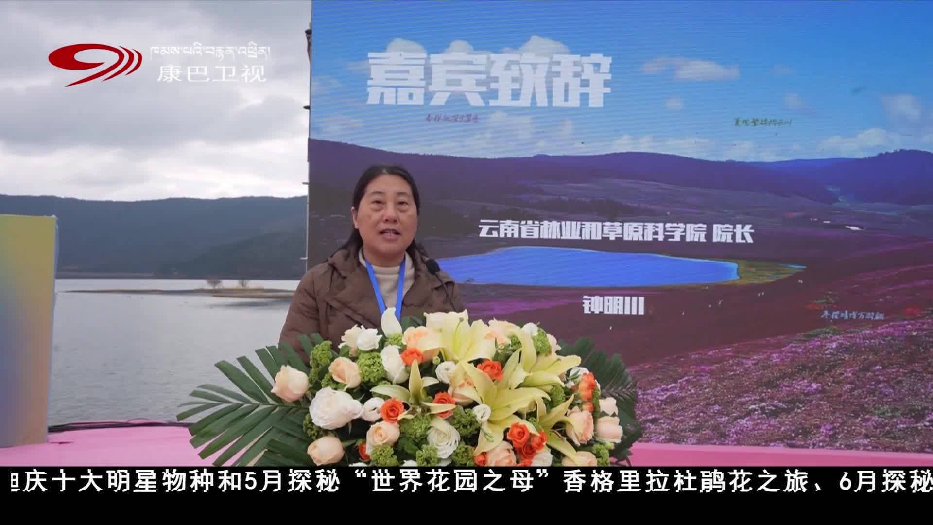 འཛམ་གླིང་གི་སེམས་ཀྱི་ཉི་ཟླ་ཞེས་པའི་སྐབས་གཉིས་པའི་མཛེས་པའི་མེ་ཏོག