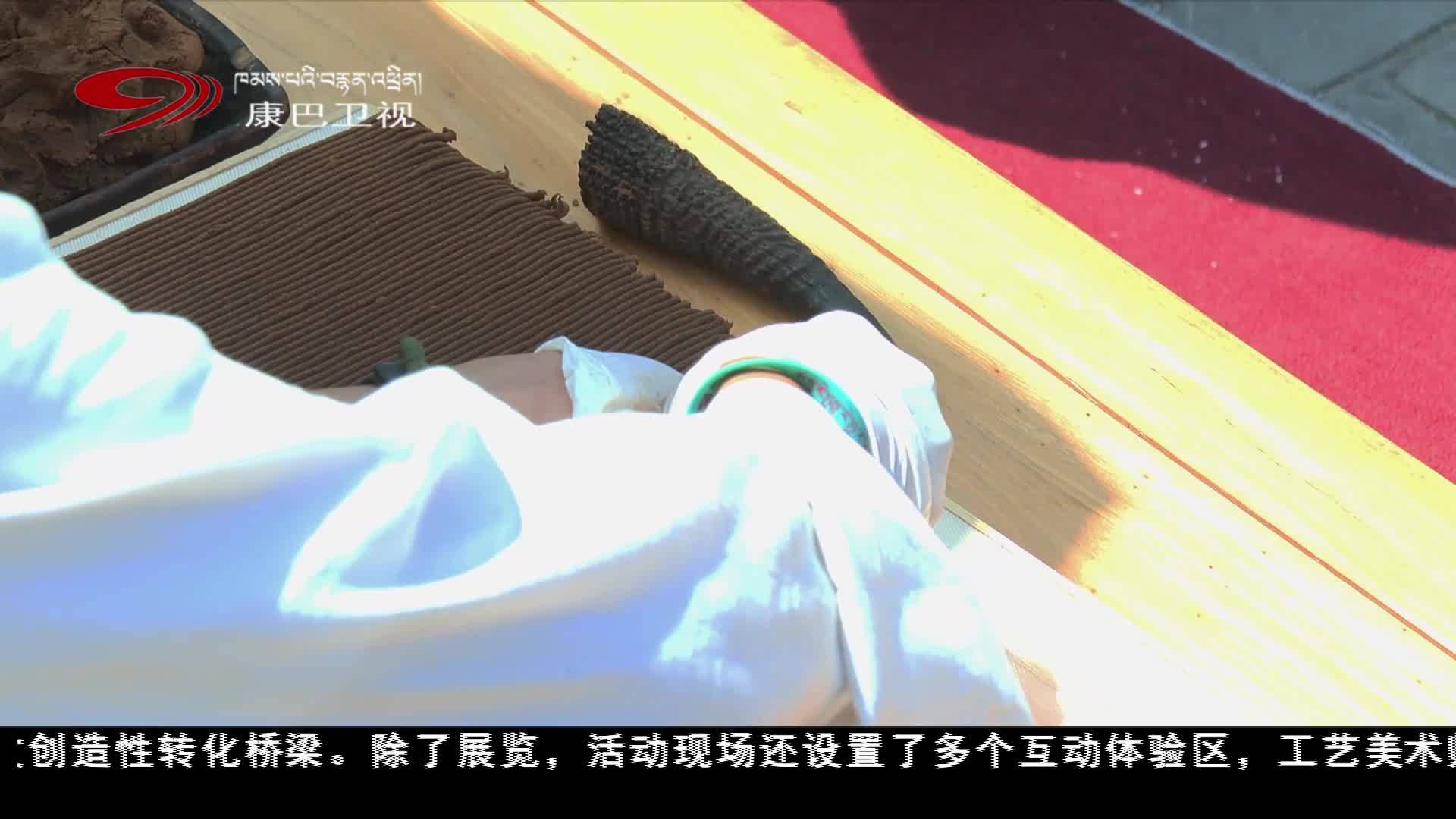 ཤར་རིག་པའི་འབྱུང་གནས་ཛམ་ཐང་གིས་པེ་ཅིན་དུ་བཟོ་རྩལ་འགྲེམ་སྐྱོད་སྤེལ།