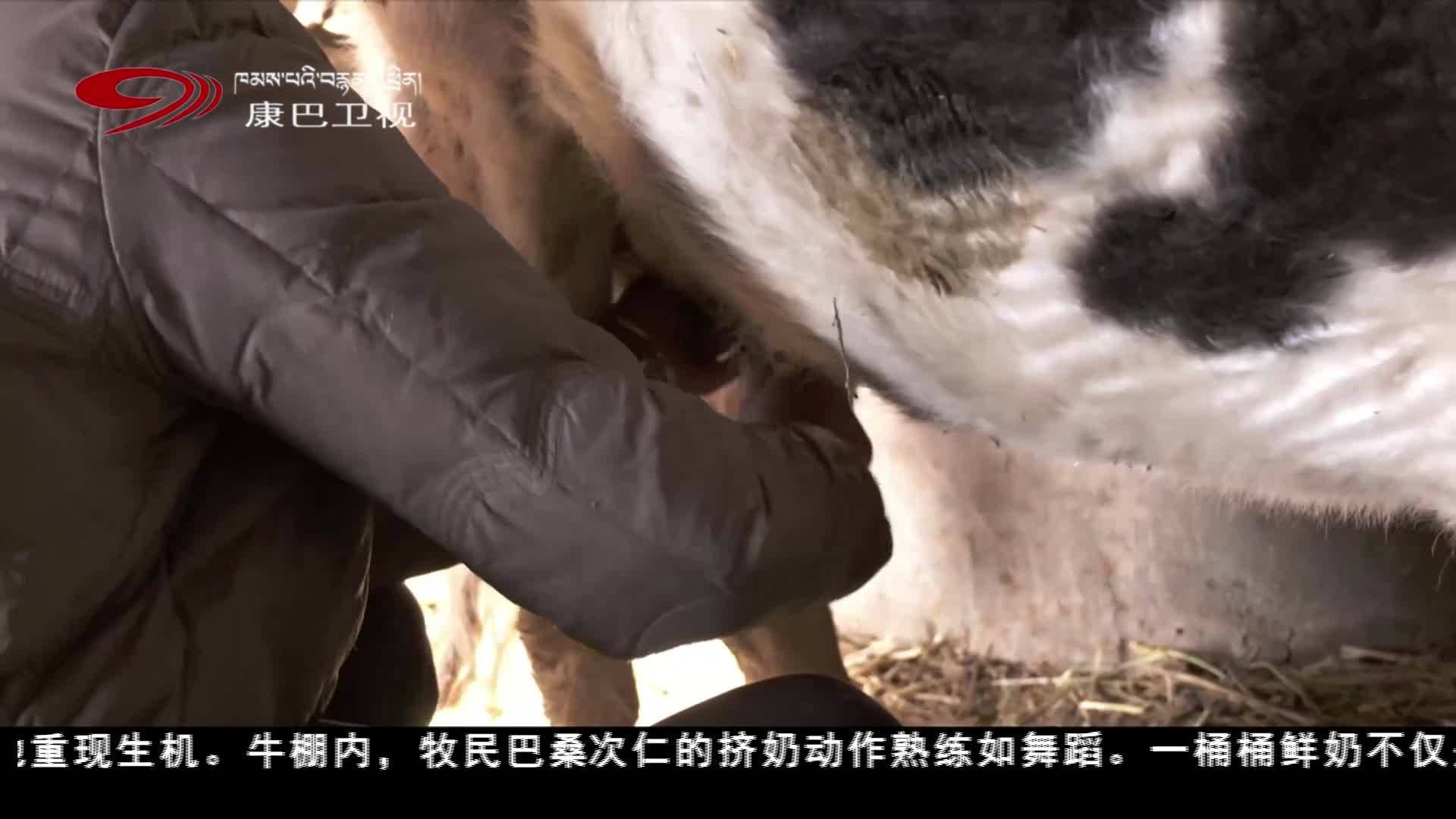 ལྷོ་ཁ་གྲོང་ཁྱེར་སྣ་དཀར་རྩེ་རྫོང་ཞྭ་མདའ་འདུས་ཁུལ་གྱི་མི་སེར། ཉི་མ་ཤེས་རབ།