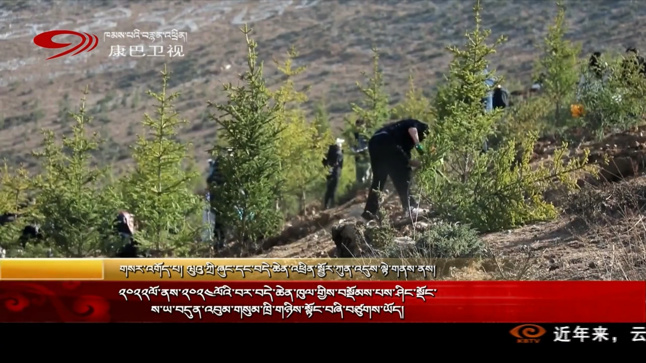 ༢༠༢༢ལོ་ནས་༢༠༢༤ལོའི་བར་བདེ་ཆེན་ཁུལ་གྱིས་བསྡོམས་པས་ཤིང་སྡོང་ས་ཡ་བདུན་འབུམ་གསུམ་ཁྲི་གཉིས་སྟོང་བཞི་བཙུགས་ཡོད།