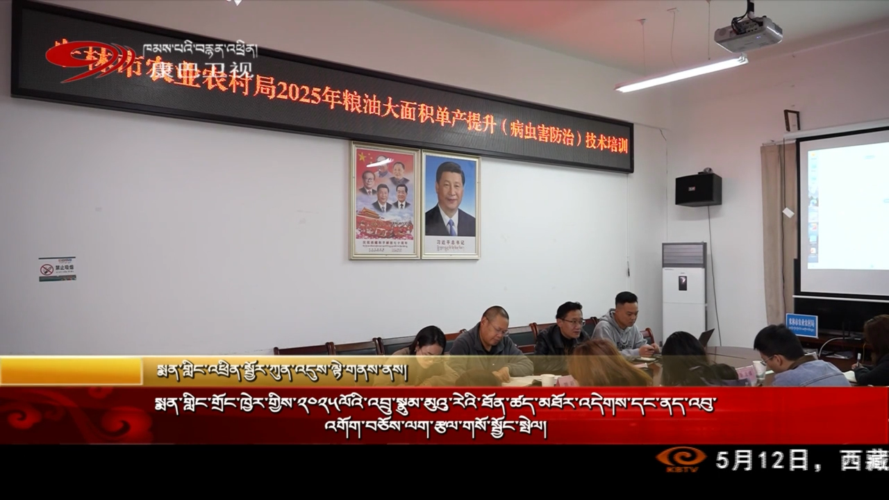 སྨན་གླིང་གྲོང་ཁྱེར་གྱིས་༢༠༢༥ལོའི་འབྲུ་སྣུམ་མུའུ་རེའི་ཐོན་ཚད་མཐོར་འདེགས་དང་ནད་འབུ་འགོག་བཅོས་ལག་རྩལ་གསོ་སྦྱོང་སྤེལ།