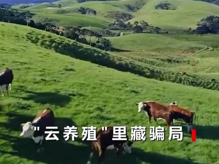 已有數萬人被騙 起底“云養殖”里的騙局