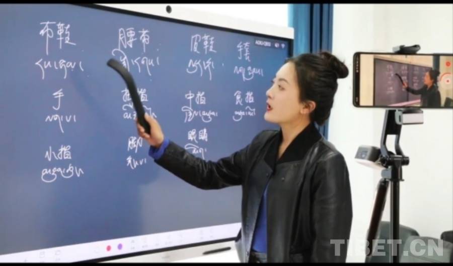 藏北高原上的“巾幗好網民”——記西藏申扎縣駐村工作隊隊員次仁嘎措