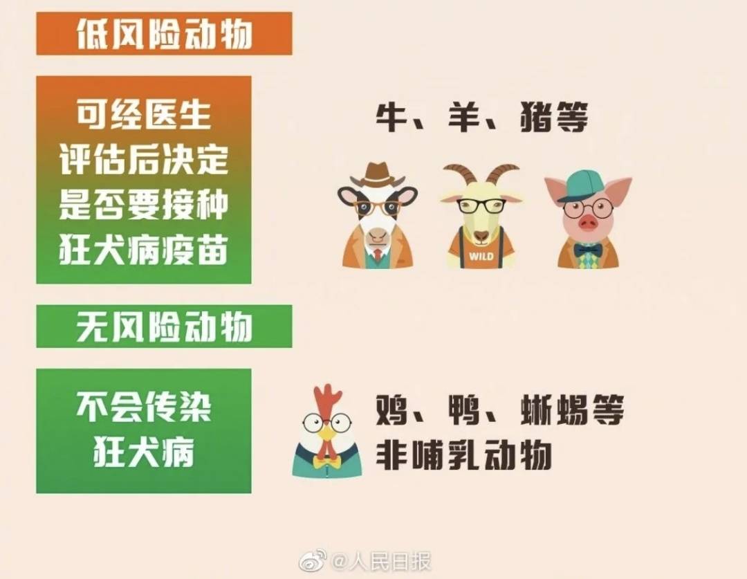 咬傷后未就醫，3個月后病發！這種病致死率近100%