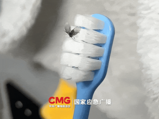 8歲女童持續嘔出活蟲！醫生揪出元兇，可能家家都有→