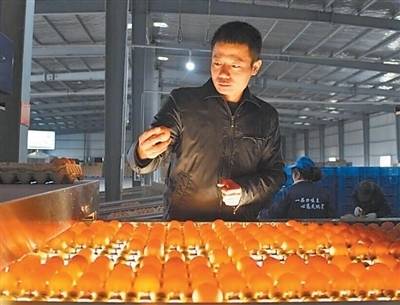 【點贊新時代】從湖北到西藏，張宏林將養殖場建到海拔3800米——讓鮮蛋豐富高原群眾“菜籃子”