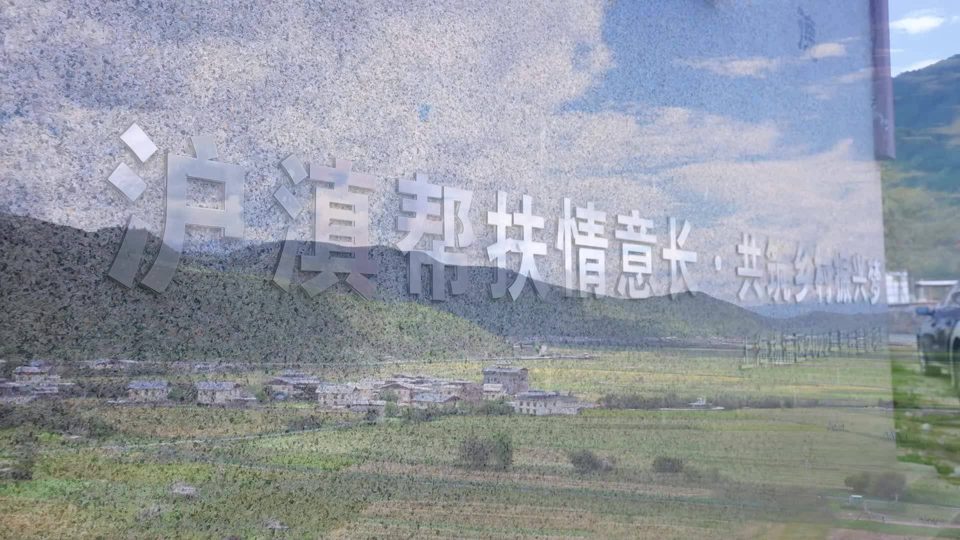 滬滇山海情：農文旅融合繪就“甜蜜”碩果
