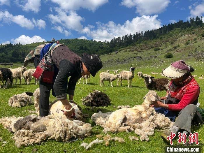 香格里拉：夏牧場上的短暫團聚