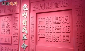 央视快评丨坚持从抓作风入手推进全面从严治党