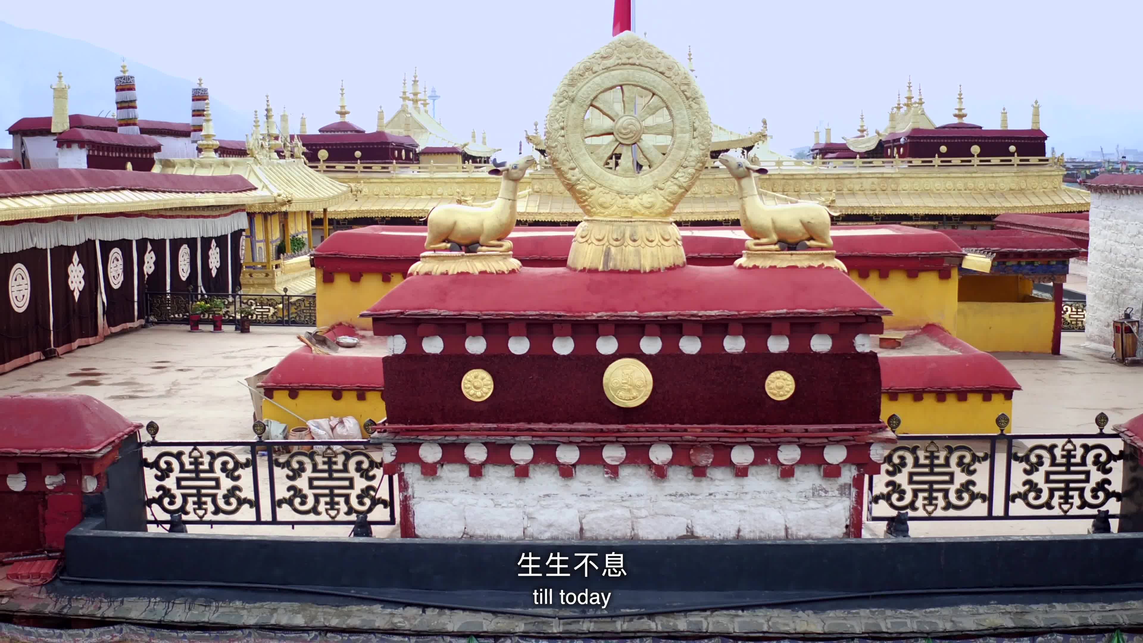 Enter the mysterious pure land and explore the story behind the reincarnation of the Living Buddhas in Tibetan Buddhism