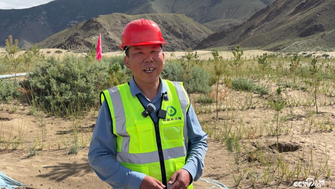 金辉（摄影 李婷婷）