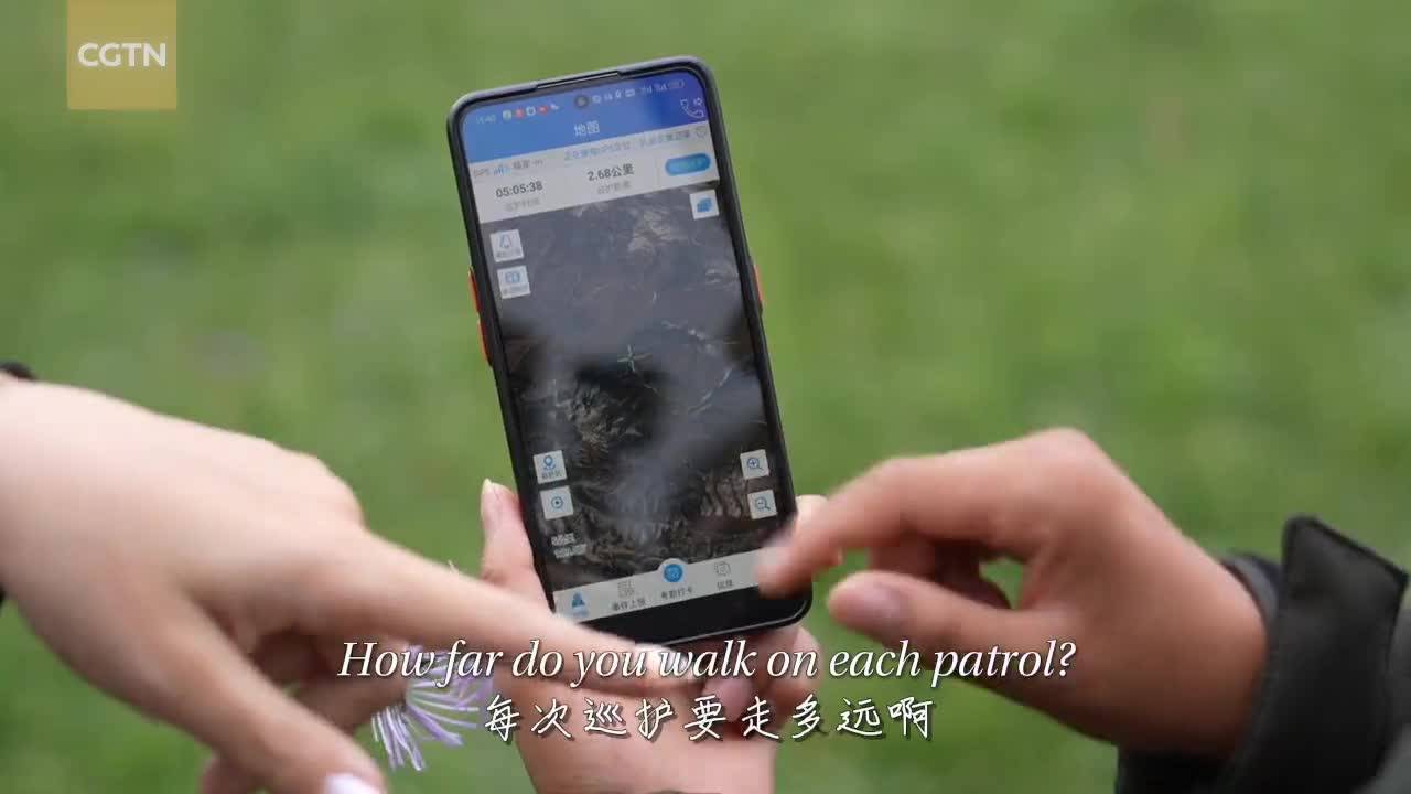 Guardians on the ridge, rescuers in the valley