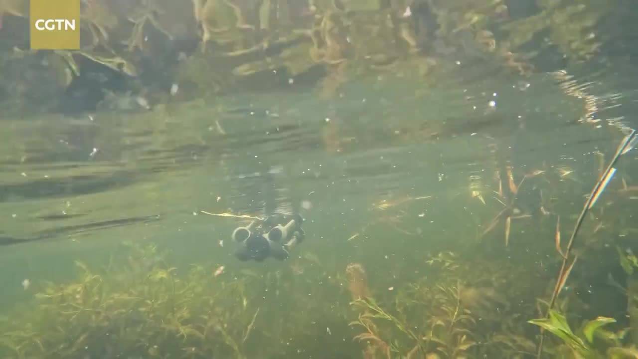 Scientist unlocks secrets of Xizang's alpine wetlands