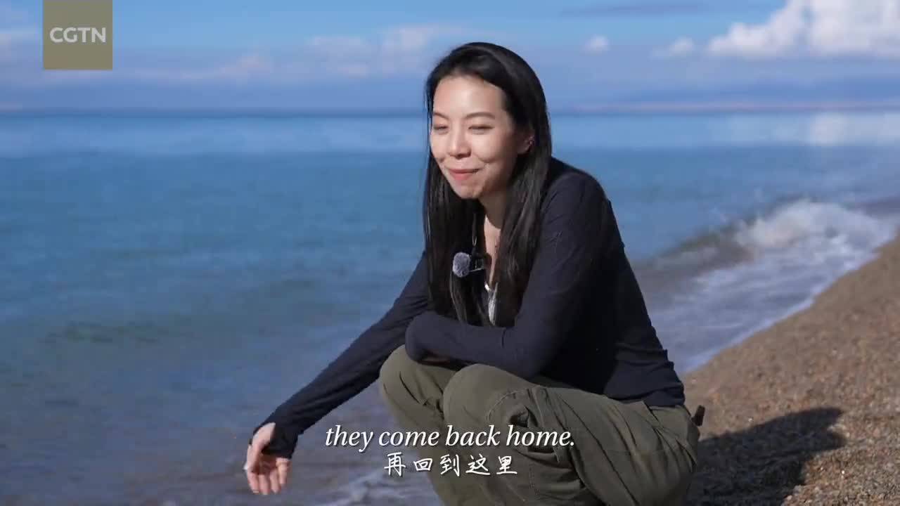 At Qinghai Lake, I heard the heartbeat of the plateau