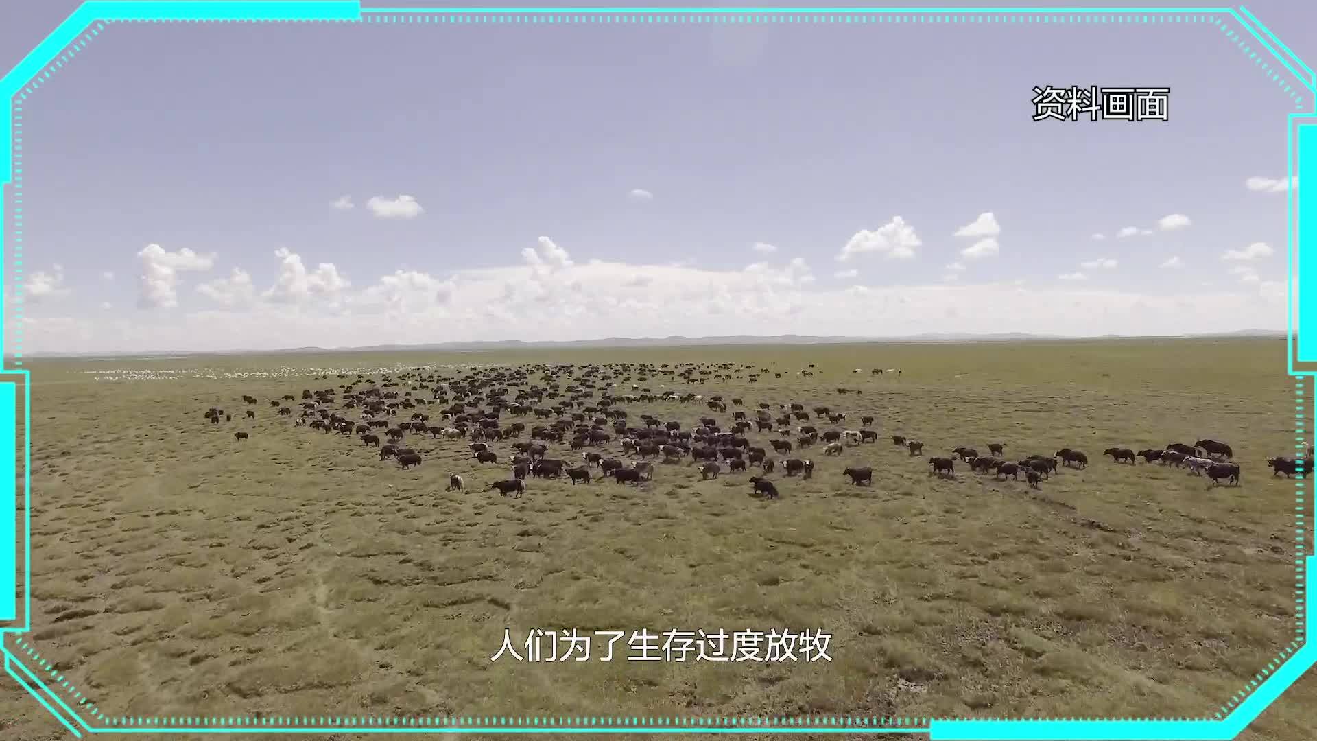 第8集草原退化治理