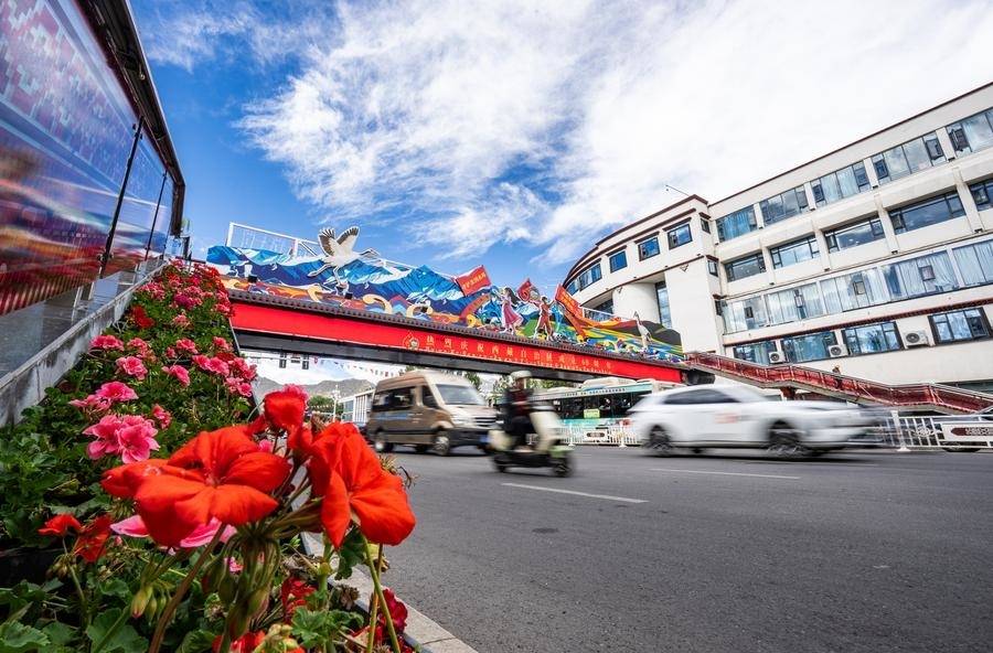 Full coverage of radio, television enriches villagers' lives in Xizang