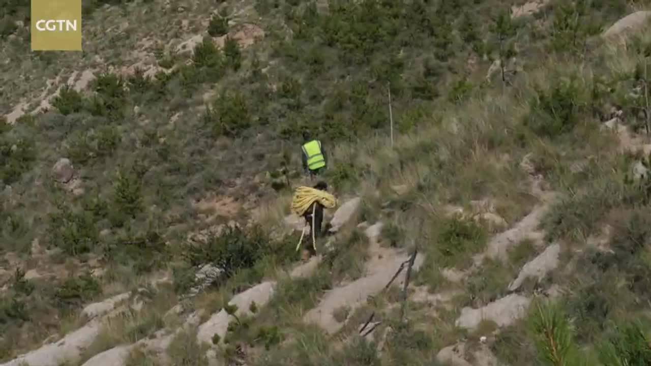 From peaks to prosperity: Xizang's transformation as region turns 60