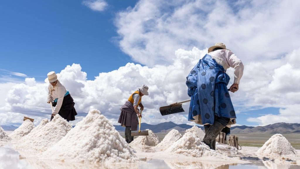 Herdsmen harvest salt in Gegye, a county that has become a hub of salt processing, in Xizang Autonomous Region, China, July 20, 2025. /Xinhua
