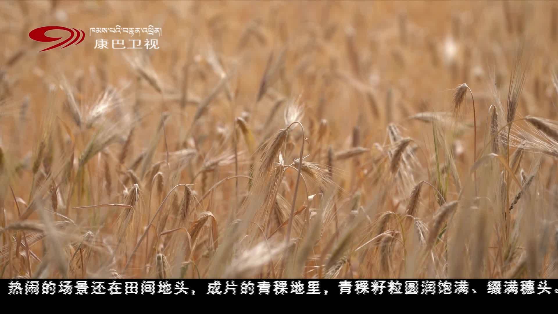 དཀར་མཛེས་ཁུལ་གྱིས་འབད་བརྩོན་ཆེན་པོ་བྱས་ནས་དུས་རབས་གསར་པའི་རྣམ་པ་གསར་པ་གཏོད།