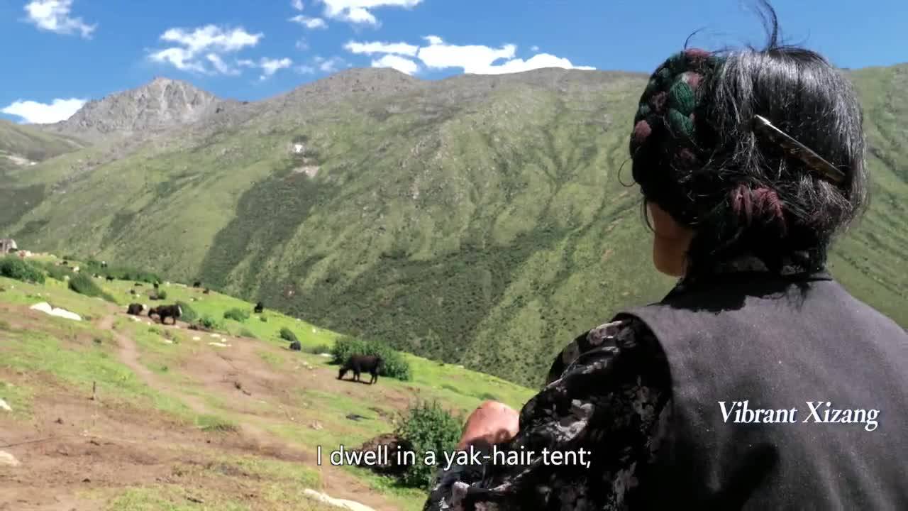 Vibrant Xizang: The grace of grass