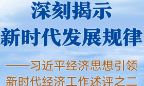 深刻揭示新时代发展规律——习近平经济思想引领新时代经济工作述评之二