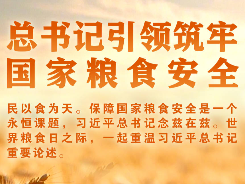 学习进行时丨总书记引领筑牢国家粮食安全