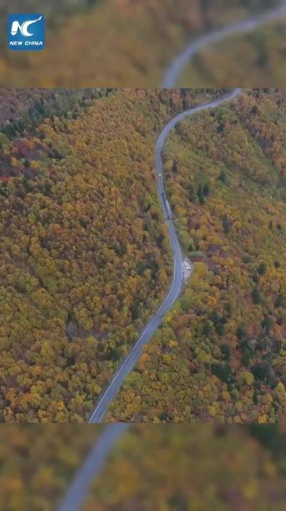 Autumn splendor along highway in China's Xizang