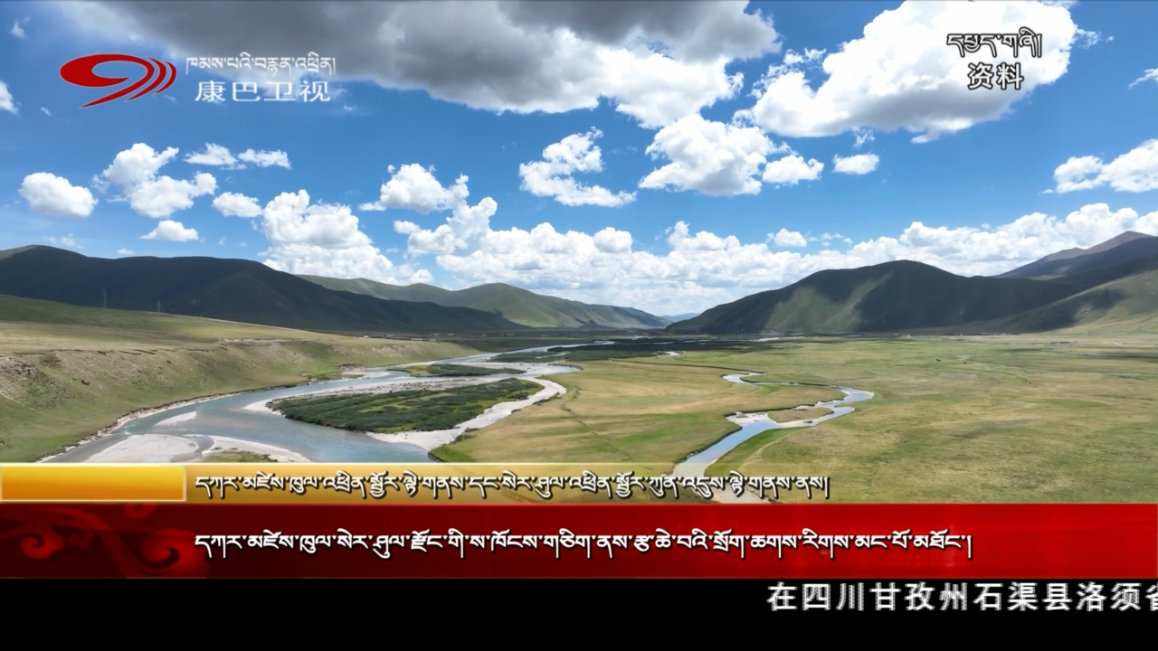 དཀར་མཛེས་ཁུལ་སེར་ཤུལ་རྫོང་གིས་ས་ཁོངས་གཅིག་ནས་རྩ་ཆེ་བའི་སྲོག་ཆགས་རིགས་མང་པོ་མཐོང་།