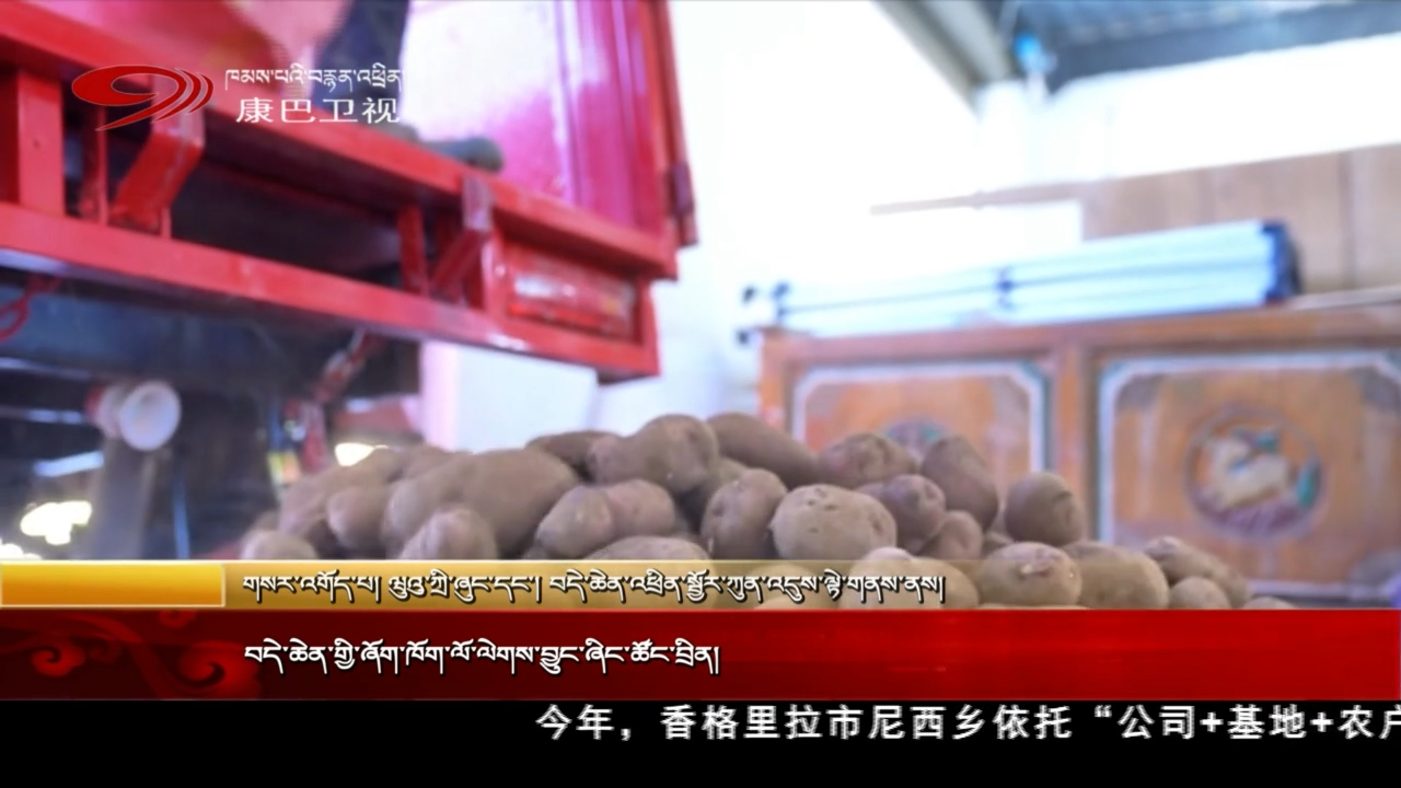 བདེ་ཆེན་གྱི་ཞོག་ཁོག་ལོ་ལེགས་བྱུང་ཞིང་ཚོང་བྲིན།