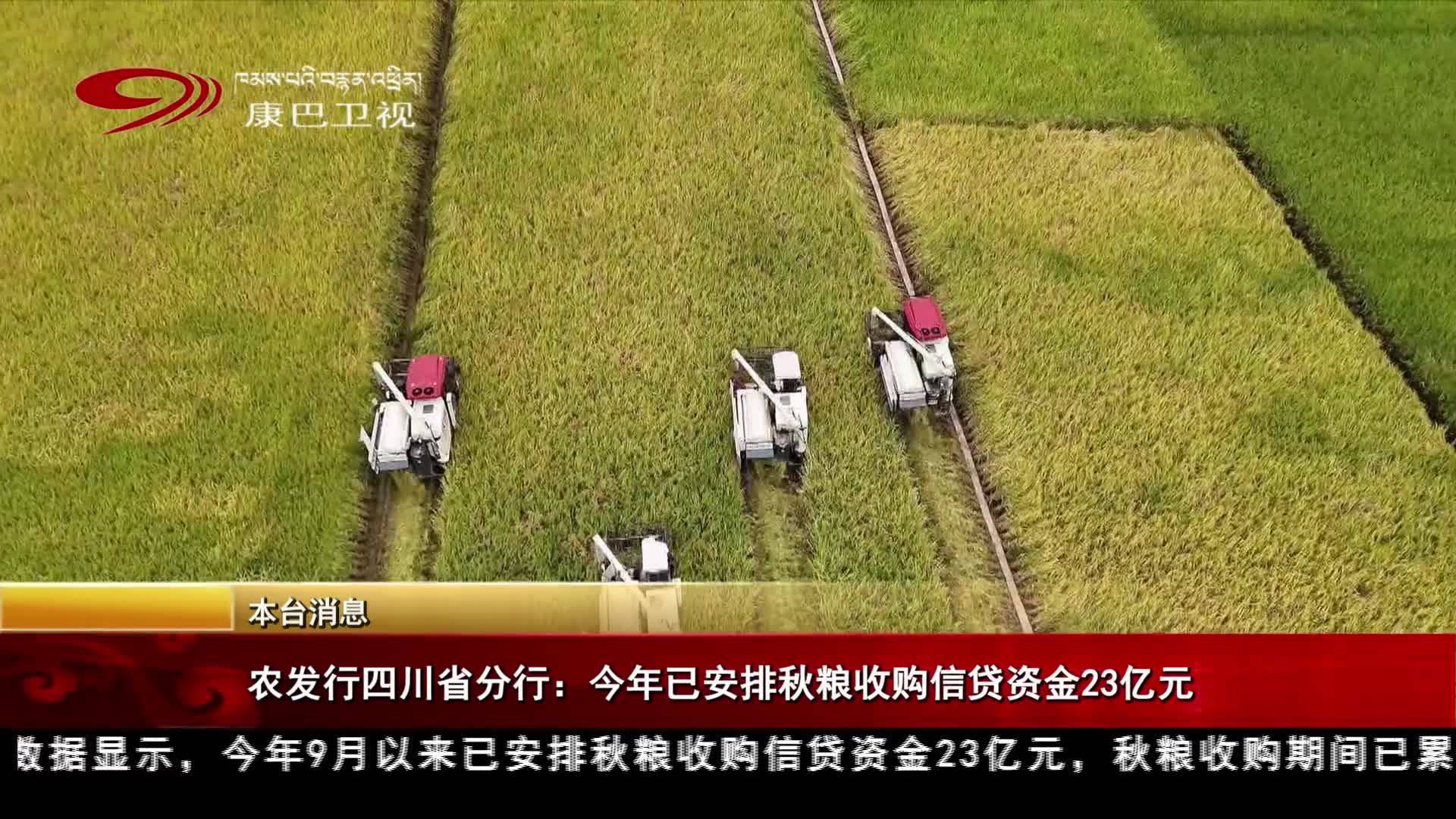 ཞིང་ལས་འཕེལ་རྒྱས་དངུལ་ཁང་གི་སི་ཁྲོན་ཞིང་ཆེན་ཡན་ལག་དངུལ་ཁང་གིས་ད་ལོའི་སྟོན་འབྲུ་ཉི་སྒྲུབ་ཀྱི་ཡིད་རྟོན་དངུལ་བུན་སྒོར་དུང་ཕྱུར་ཉེར་གསུམ་བཀོད་སྒྲིག་བྱེད།