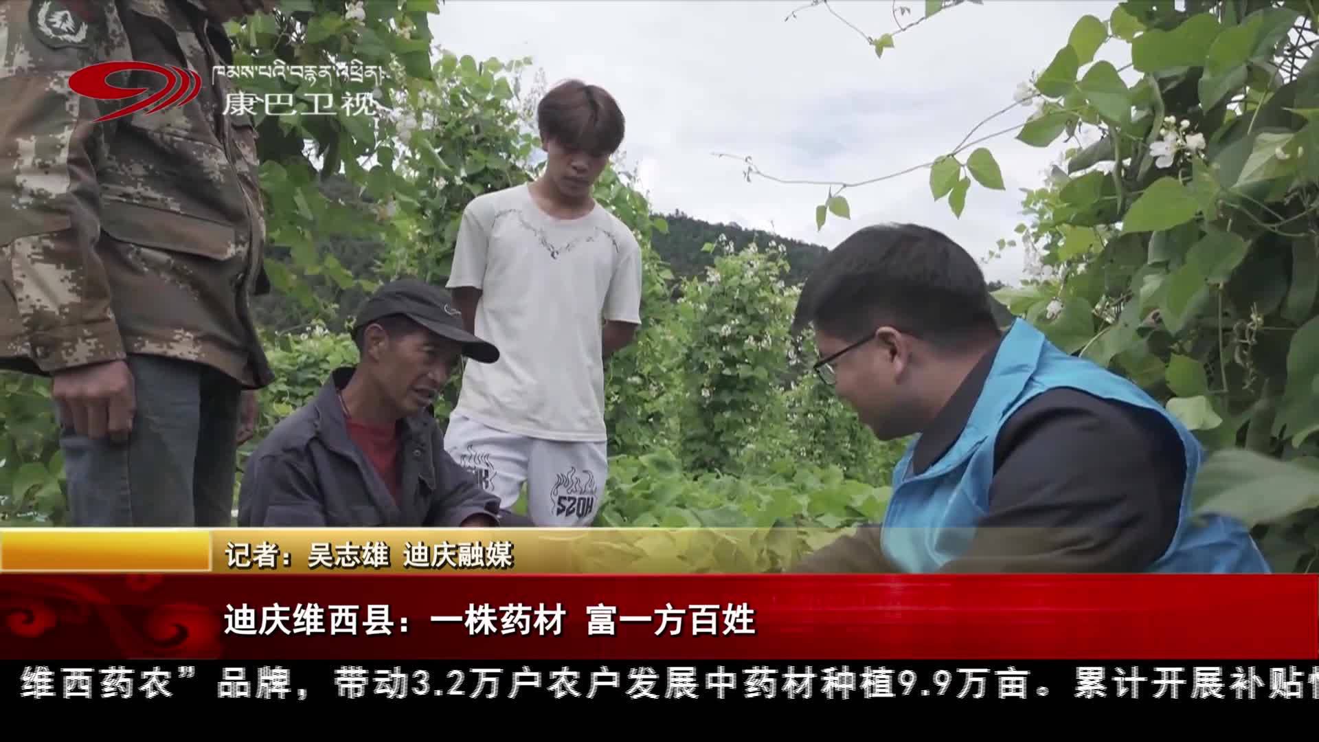 བདེ་ཆེན་ཁུལ་འབའ་ལུང་རྫོང་གིས་སྨན་རྩའི་ཐོན་ལས་ལ་བརྟེན་ནས་མང་ཚོགས་ལ་ཁེ་ཕན་བསྐྲུན།