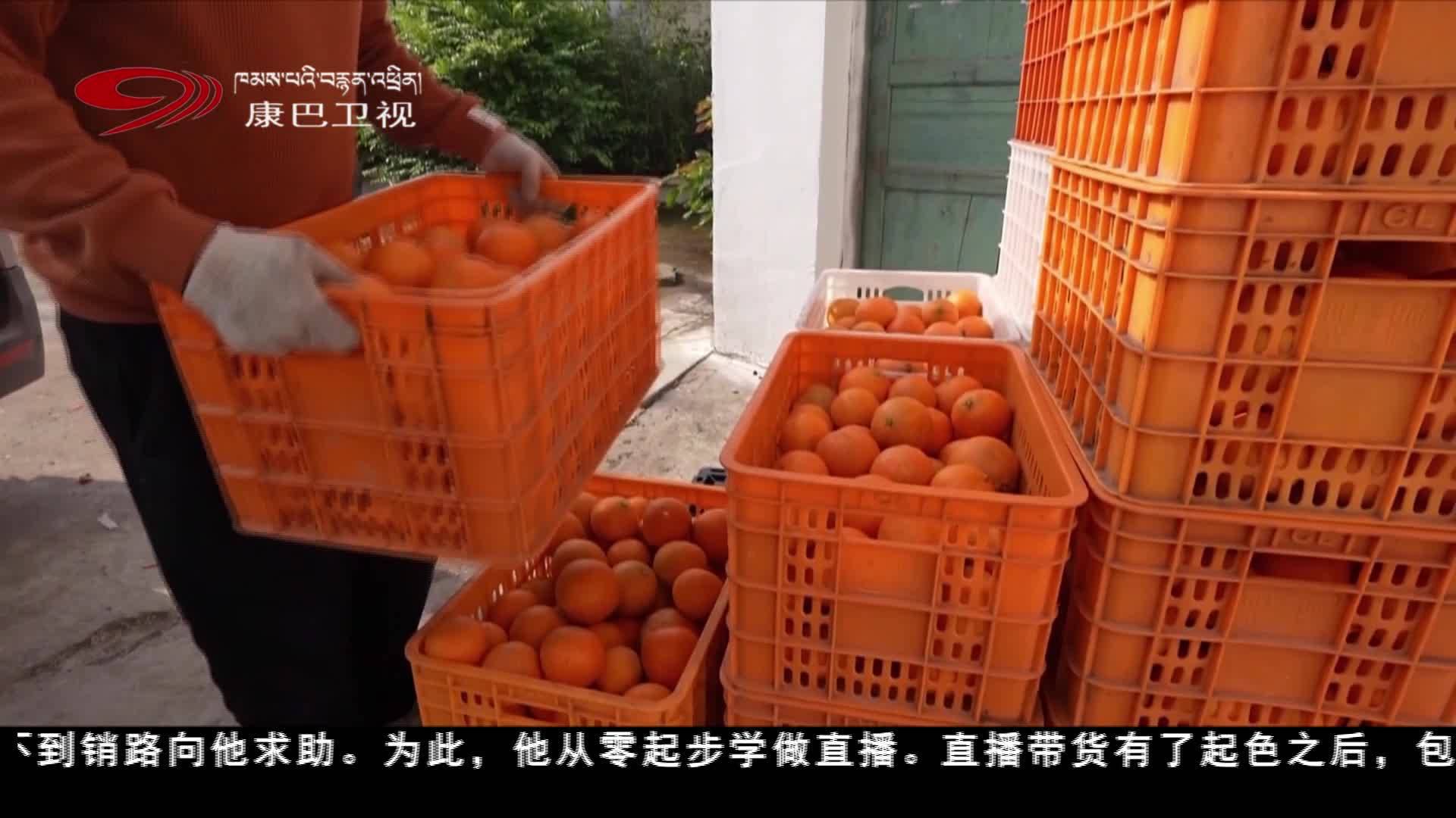 གྲོང་གསེབ་དར་རྒྱས་གཏོང་ཆེད་གྲོང་སྡོད་ལས་བྱེད་ཀྱིས་ལས་ཡག་པོ་སྒྲུབ།