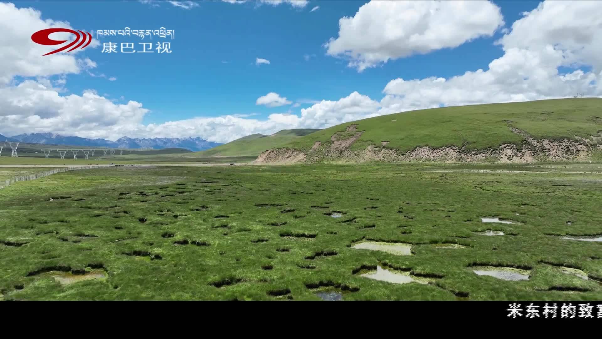 ལྷོ་ཁ་གྲོང་ཁྱེར་ཟངས་རི་རྫོང་གིས་ཁྱད་ལྡན་ཐོན་ལས་འཕེལ་རྒྱས་བཏང་ནས་ཞིང་འབྲོག་མི་སེར་ཕྱུག་འགྱུར་ཡོང་བར་བྱེད།