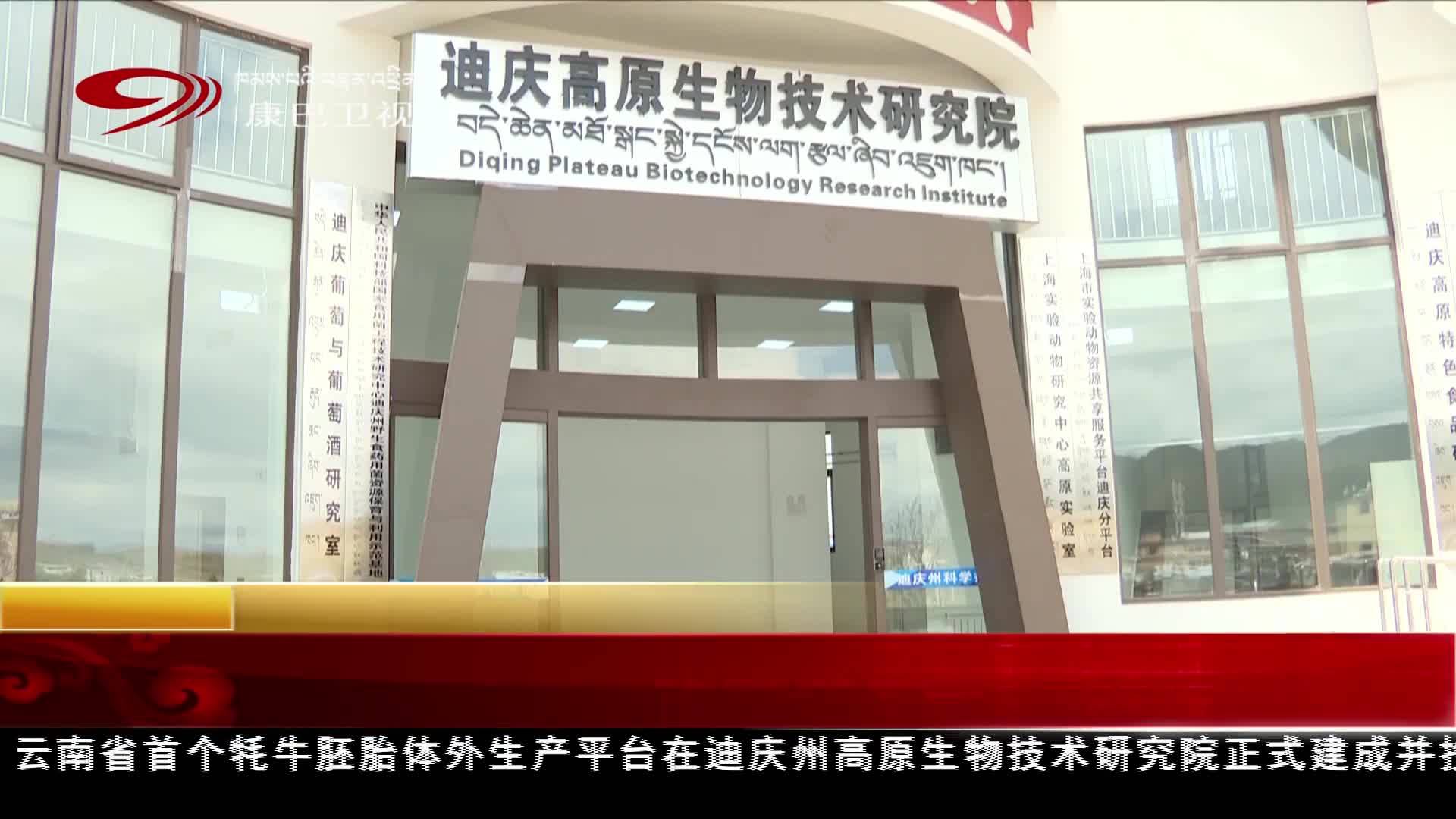 ཡུན་ནན་ཞིང་ཆེན་གྱི་ནོར་གནག་སྒྲུམ་རྟེན་ལུས་ཕྱིའི་སྐྱེ་འཕེལ་སྟེགས་བུ་ཐོག་མ་བདེ་ཆེན་དུ་བཙུགས།