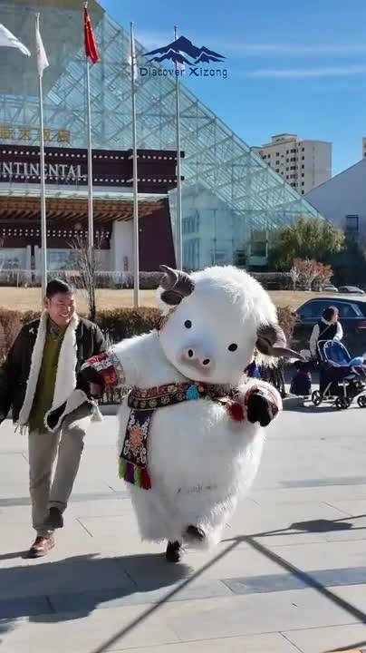 Lhasa's dancing yak mascots become online sensation