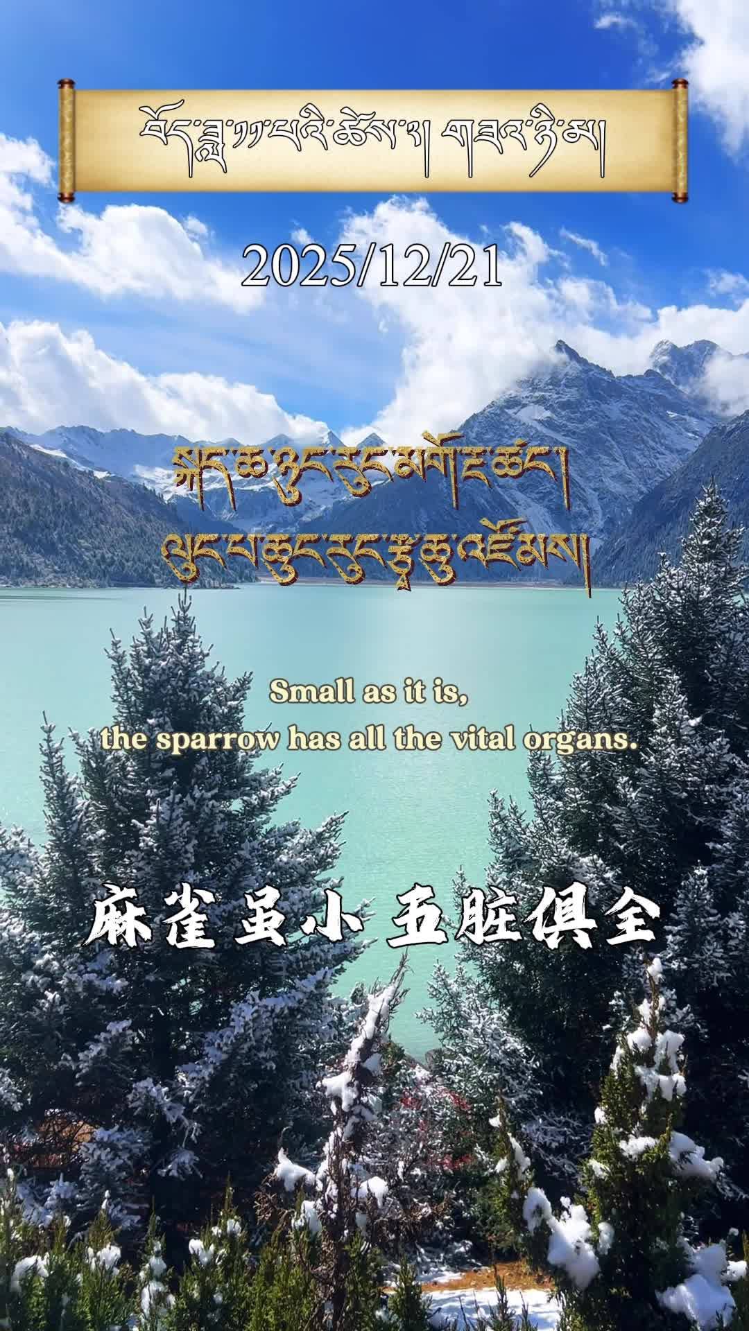 Learn Tibetan proverbs and unlock the treasure chest of Tibetan wisdom