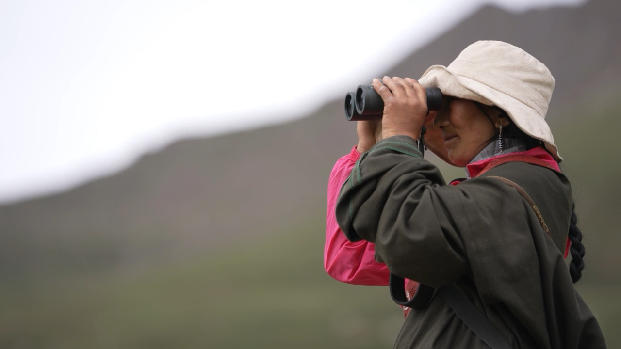 Black-necked crane fairy Kadag Tso