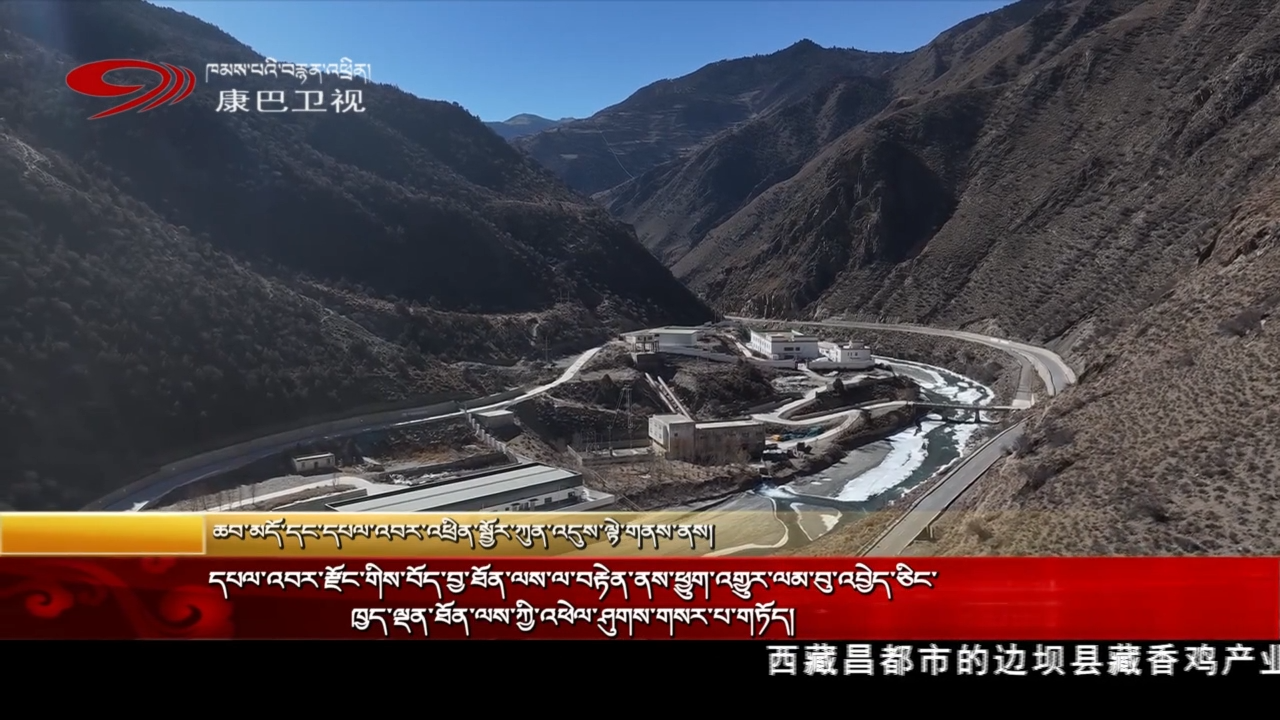 དཔལ་འབར་རྫོང་གིས་བོད་བྱ་ཐོན་ལས་ལ་བརྟེན་ནས་ཕྱུག་འགྱུར་ལམ་བུ་འབྱེད་ཅིང་ཁྱད་ལྡན་ཐོན་ལས་ཀྱི་འཕེལ་ཤུགས་གསར་པ་གཏོད།