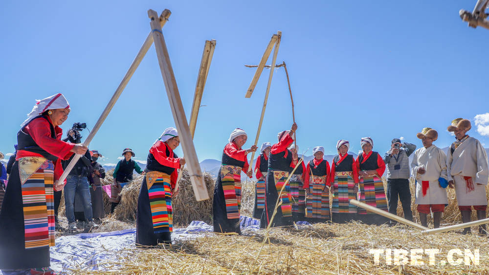 雪域高原奏响城乡融合“协奏曲”