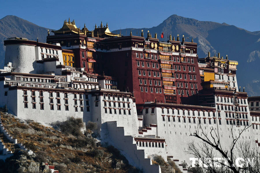 A Winter Morning at the Potala Palace