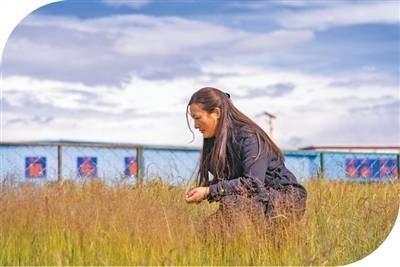 修复高寒草原生态，加强草业技术推广 藏北高原有个草业科技小院
