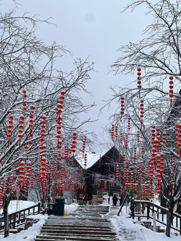 别跑空！西岭雪山营业时间有变