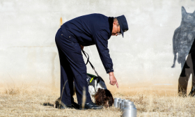 【新春走基层】“双新”搭档!藏族民警与警犬“呆呆”的春运守护之旅