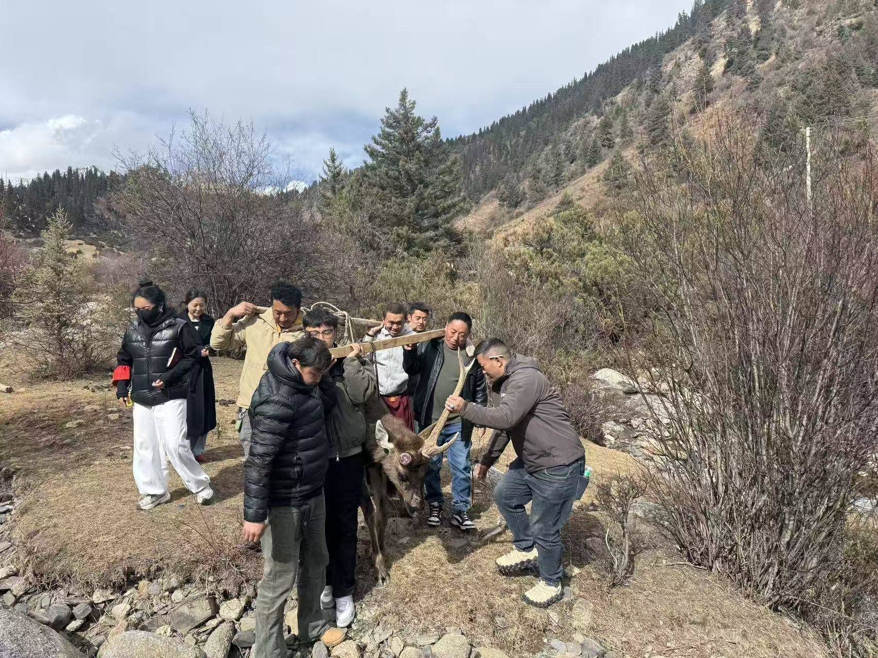 “四干”护航生态路 德格守护绿水青山