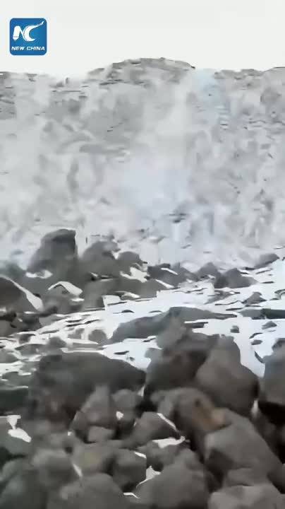 Running snow leopard captured on camera in China's Xizang