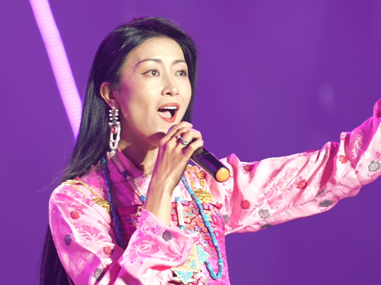 林芝市第二十三届桃花旅游文化节开幕文艺演出圆满落幕