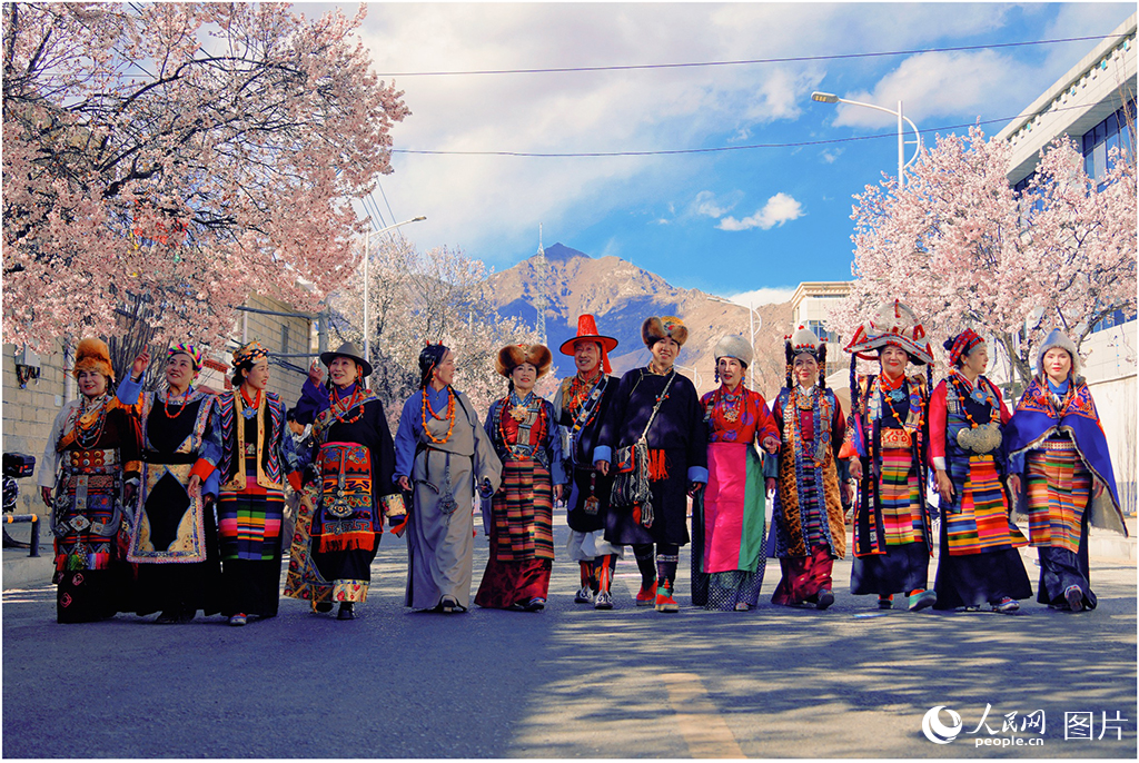 Spring blossoms boost consumption, rural revitalization across China